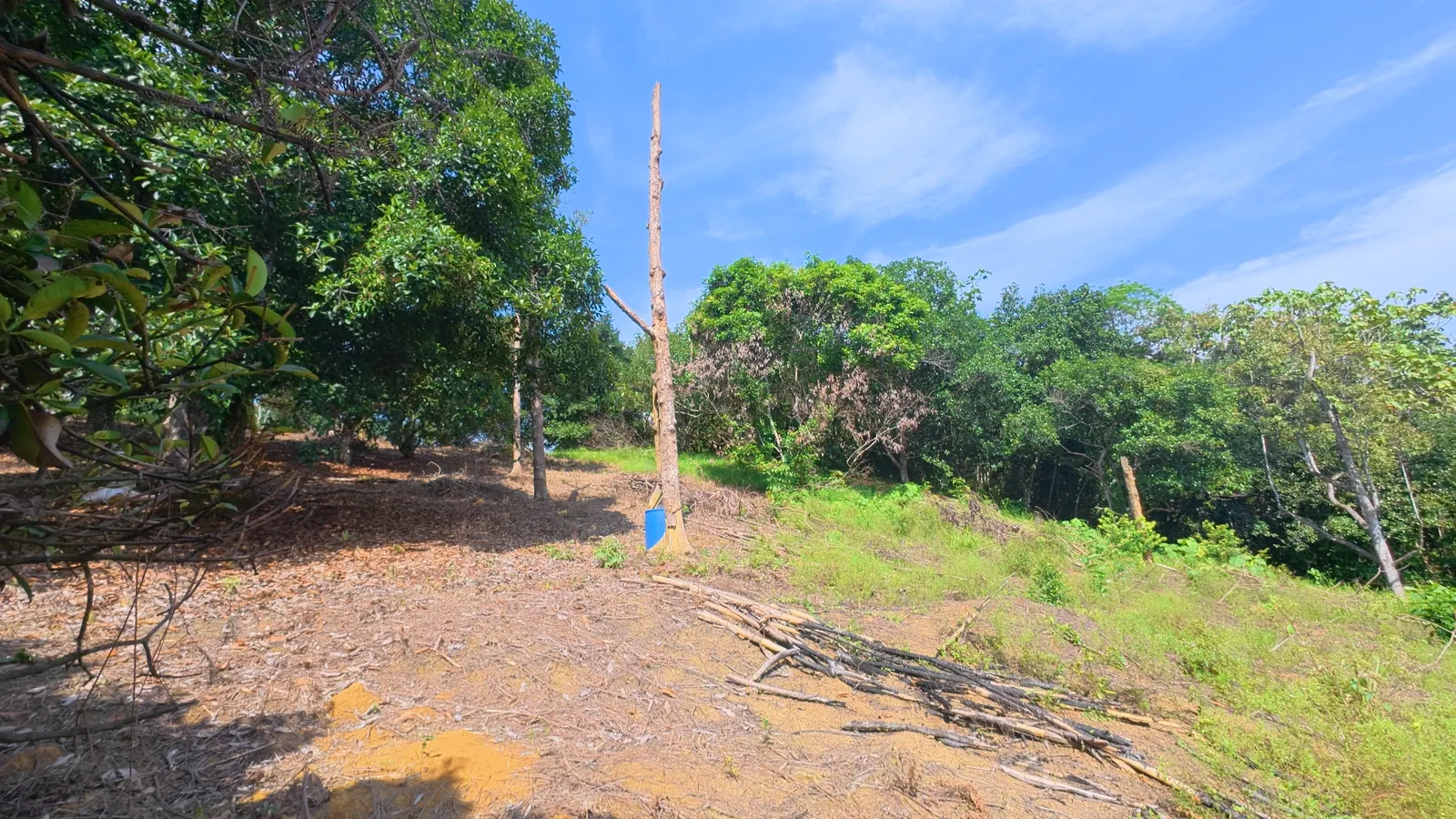 Pinggir tanah dengan langit biru